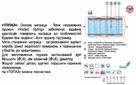 Ліжко Сєлєста Екстра - Фото_2